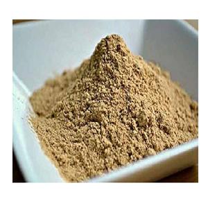 Extracto Refinado de Galanga con Rico Perfil Herbal, Ideal para Mezclas de Alimentos Funcionales, Formulaciones de Té y Fabricación a Gran Escala - Product Image 1