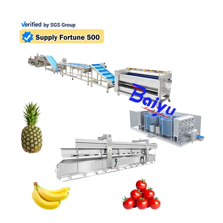 Baiyu Frozen Banana Making Machine Papaya Frozen Corn Line 1000 Kg Tomato Frozen Spinach Production Equipment