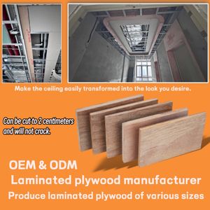 Papan kayu lapis kayu putih 1220x2440mm atau ukuran kustom 9mm 12mm 15mm 18mm papan kayu lapis lapis lapis lapis lapis komersial - Product Image 2