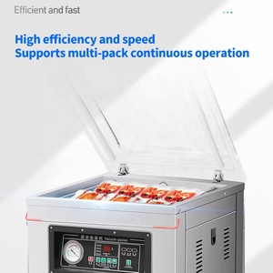 Machine d'emballage sous vide automatique de type table Dz500 pour usage domestique et commercial, petite, avec pompe CE à double joint, pour snacks, fruits, fruits de mer et cuisine - Product Image 5