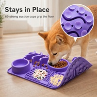 Nouvelle gamelle multifonctionnelle portable en silicone pour animaux de compagnie, gamelle pour chien et chat, étanche, pliable, pour une alimentation lente et solide