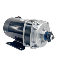 600W 36V/48V DC Motor DC Brushed Permanent Magnet Gear untuk Sepeda Listrik/Sepeda Roda Tiga/Skuter/Motor Perahu/Kipas MY1120ZXF