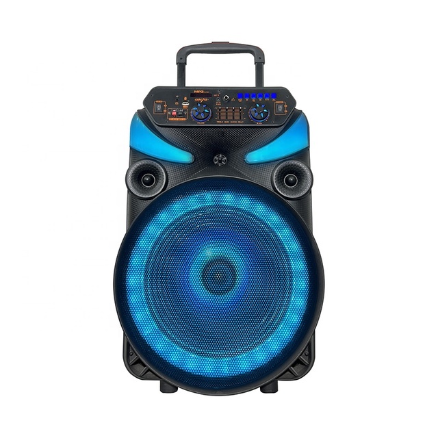 Rechargeable 15-Inch Trolley Outdoor Speaker USB/TF//AUX RGB LED 50-100W Output for Beach Camping Picnic Activities