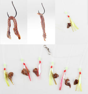 Vente en Gros 6g/10g Appât de Pêche Arénicole Sèche Vers de Pêche Lyophilisés Appât pour Pêche en Mer Leurres Souples Puissants Vers Secs - Product Image 3