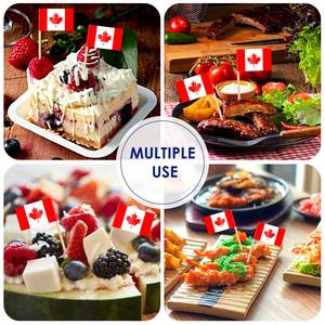 बांस मिनी देश के झंडे कॉकटेल को लाठी पर छोटे झंडे के साथ पर्यावरण के अनुकूल अंतरराष्ट्रीय टूथपिक्स को चुनते हैं - Product Image 4