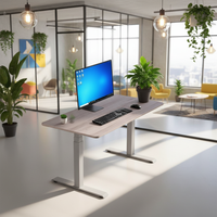 Vente directe usine – Cadre de table électrique réglable en hauteur à double moteur, ergonomique et moderne, pour bureau assis-debout