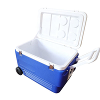 Glacière solaire avec roues pour le camping en plein air, boîte de conservation des aliments frais et froids, glacière en plastique OEM
