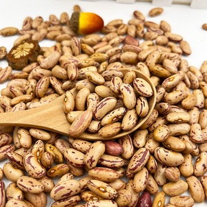 Fagioli di Mirtillo Rossi, Fagioli Kidney Leggermente Macchiati - Product Image 1
