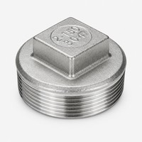 Bouchon carré en acier inoxydable 201 304 BSP DN32 DN40 DN50, raccords de tuyauterie à filetage mâle moulés par investissement