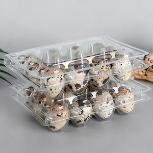 Прозрачный пластиковый лоток для яиц - Product Image 3