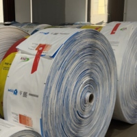 Sacs d'emballage pour engrais en PP tissé laminé BOPP, 25 kg, 50 kg, imprimés sur mesure, 100 % PP vierge, résistants à l'humidité