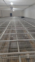 Tables de culture hydroponiques à flux et reflux robustes Soteng pour serres, tables de semis roulantes, garantie 1 an, faible coût