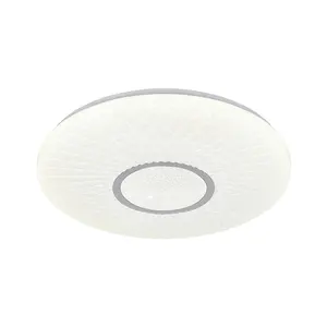 Boyid Factory Price Smart Modern Surface Mounted Home Office Round Ceiling Light infrared control RGB ceiling light