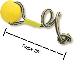 Jouets en corde pour chien en EVA multicolores, durables et écologiques, pour l'entraînement à la mastication, vente en gros d'usine, OEM/ODM disponible - Product Image 4