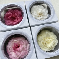 Kepala Bunga Kamelia Awet Berkualitas Premium (Bulat 9-10cm) untuk Desain Floral Proyek DIY; Bahan Bunga Awet dalam Jumlah Kecil