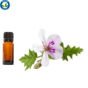 Prix de gros en vrac pour l'huile essentielle de géranium rose naturelle pure 100%-parfaite pour l'aromathérapie et les soins de la peau - Product Image 5