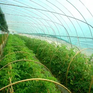 factory supplier 200 micron agriculture plastic greenhouse film