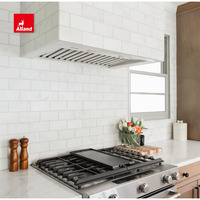 AllandCabinet Armoire de cuisine de style encastré en bois massif d'érable avec finition teintée de luxe avec îlot en quartz dans les villas