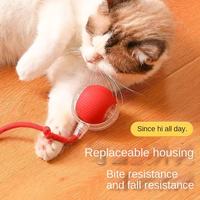 Bâton de chat intelligent à induction automatique avec balle de jeu pour chatons, jouet anti-ennui pour animaux de compagnie