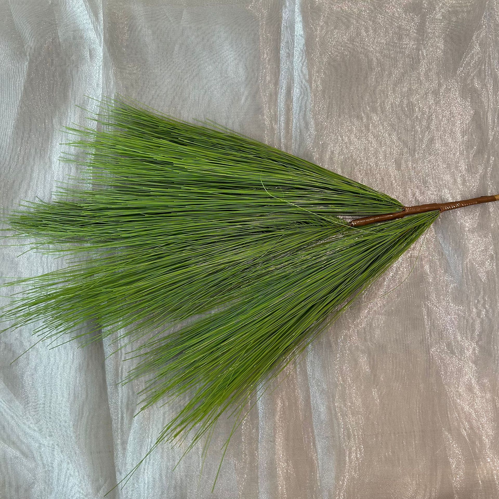 Pino a coda di cavallo Mj