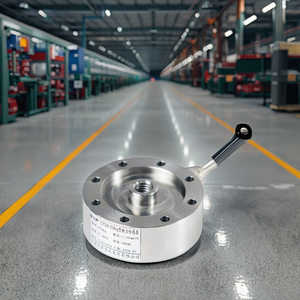 Nhà máy cung cấp 1 tấn Vòng nén nói loại tải di động cho xe tải - Product Image 2