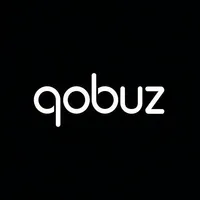 Abonnement Qobuz de 12 mois pour le streaming et la découverte de musique, compatible MAC et version Internet, en stock