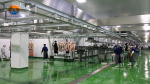 Équipement <span class=keywords><strong>d</strong></span>'abattage rentable pour moutons, agneaux et chèvres Machines de traitement efficaces en abattoir au <span class=keywords><strong>prix</strong></span> <span class=keywords><strong>d</strong></span>'usine - Product Image 3