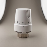 Tête de radiateur thermostatique TRV en laiton blanc OEM pour le contrôle de la température du chauffage central