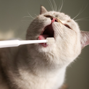 Cepillo de dientes para perros y gatos, limpieza bucal de 360 grados, mejora el mal aliento, elimina el sarro, pasta de dientes - Product Image 3