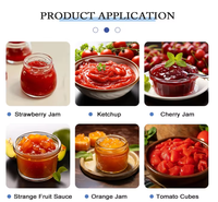 Chaîne de production de purée de tomates et de sauce tomate entièrement automatique, multifonctionnelle, en acier inoxydable de qualité alimentaire, pour usage commercial
