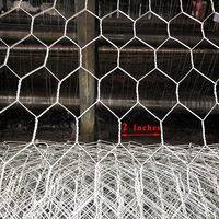 Fencer Wire Clôture en fil de poulet de calibre 20 Filet hexagonal de volaille galvanisé Fabrication de poulaillers et cage pour rongeurs de lapin, 1 po