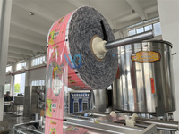 Machine d'emballage automatique WB-300Y pour sucettes glacées aux fruits, bâtonnets de gelée et barres de gelée, vente directe d'usine
