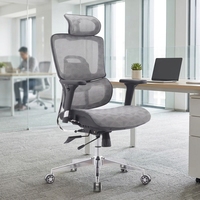 Chaise de bureau ergonomique de direction avec accoudoirs fixes, appui-tête réglable, structure en acier inoxydable, dossier solide pivotant en mousse, pour la maison