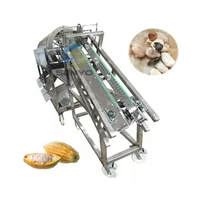 Industrial Cacao Pods Peeling Machine Cocoa Pod Splitting Machine at Bottom Price