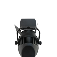 200W COB LED Par Light Étanche IP65 Blanc Chaud Public Blinder Projecteurs pour Parcs À Thème