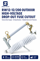 Fusible de coupure 24 kV 630 A HRW11-10 avec isolateur composite 50 Hz pour protection de ligne aérienne montée sur poteau de distribution extérieure