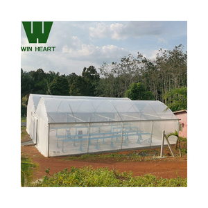 Lớn hai lớp PE Khung nhà kính poly-đường hầm cho công nghiệp rau phát triển đa-span thiết kế - Product Image 6