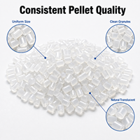 Granulés de résine PP à usage général, couleur personnalisée, qualité médicale, MFI stable, matière première plastique pour les nécessités quotidiennes