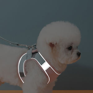 デザイナーかわいいペットハーネスリーシュセット-カスタムロゴ,Bichon Frise & Cats用小型犬ハーネス - Product Image 4