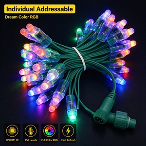 Luces LED WS2811 a Prueba de Agua, Módulos LED de 5V 12V 12mm, Caracteres Luminosos IP65, Guirnaldas de Luces para Publicidad, Exportadas - Product Image 2