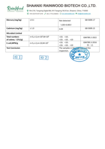Gomitas de Creatina Rainwood, Gomitas de Creatina Monohidrato Personalizadas, Gomitas de Creatina Veganas Sin Azúcar - Product Image 2
