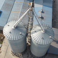 Silos per Cereali a Prezzo di Fabbrica in Acciaio Zincato a Caldo con Cono a Tramoggia per Stoccaggio di Cereali Sfusi e Chicchi di Caffè