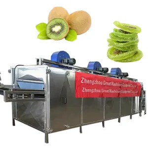 Automatic tunnel food drying oven machine Belt type hot air dryer for drying ginger