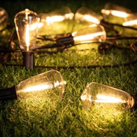 Guirlandes lumineuses LED ST38 en plastique pour extérieur, jardin, mariage, patio, décoratives, étanches IP44, Noël, alimentées par courant continu 100-220V