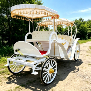 Chariot de luxe en forme de citrouille pour mariage, style personnalisé, <span class=keywords><strong>prix</strong></span> d'usine abordable pour le tourisme en zone touristique et l'activité commerciale - Product Image 1