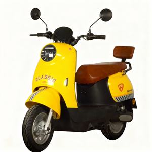 Motociclette Elettriche Urbane per il Tempo Libero con Motore ad Alta Velocità e Batteria al Litio, E-Scooter con Pneumatici di Qualità e Ricambi Gratuiti - Product Image 1