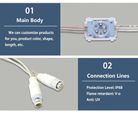 Lumière LED à points RVB de style méduse, étanche en extérieur, haute qualité, Ismart DC12V, corps en PVC, indice de protection IP68, garantie 5 ans
