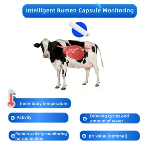 Bolo ruminal IoT LoRaWAN para vacas con pH ruminal preciso, temperatura, salud en la estroperiodo y retícula de alimentación, batería de larga duración de 3-5 años - Product Image 1