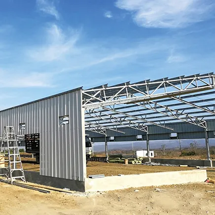 OEM steel structure farm broiler poultry shed construction design chicken house