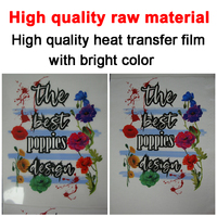 Film de transfert DTF 60*100 Hot Peel Premium Film de transfert DTF 60cm Double simple face pour l'impression de t-shirts Imprimantes DTF 33 30 Film PET